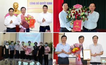 thai binh ha tinh dong thap bo nhiem nhan su lanh dao moi