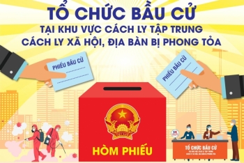 infographic to chuc bau cu tai khu vuc cach ly tap trung cach ly xa hoi dia ban bi phong toa