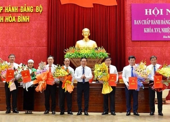 tphcm hai duong hoa binh kien toan nhan su bo nhiem lanh dao moi