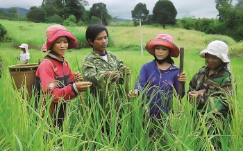 quy trinh ra soat ho ngheo ho can ngheo hang nam