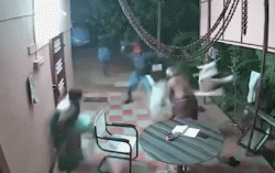 Video: Cặp vợ chồng già ném dép, quăng ghế đuổi cướp