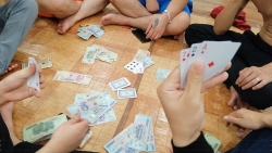 Thái Bình: Bắt Phó Ban quản lý Khu du lịch Cồn Vành vì đánh bạc