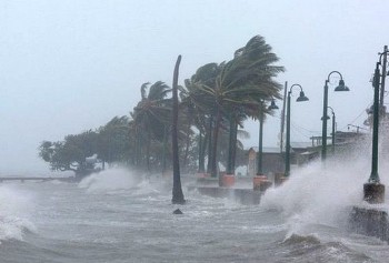 bien dong nguy co co bao moi