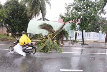 bao so 12 do bo vao dat lien gio lon quat nga nguoi di duong