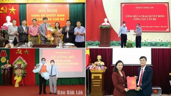 tin dieu dong bo nhiem nhan su moi tai bac giang dak lak