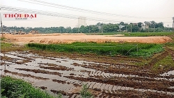 du an kdt moi tay nam viet tri ngang nhien san lap khi chua co quyet dinh cua ubnd tinh