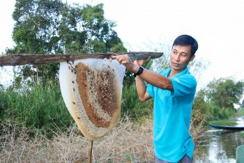 ca mau sap dien ra nhieu su kien van hoa du lich hap dan du khach trong va ngoai nuoc