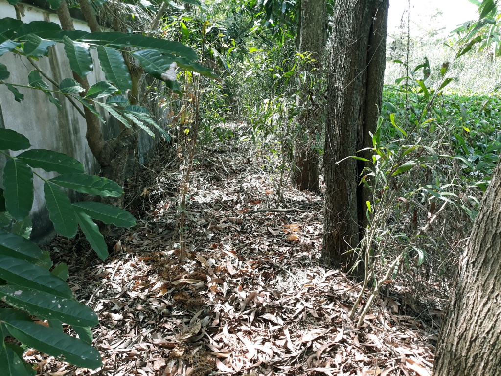 Vụ 300 xác thai nhi trong nhà máy rác: Sở Y tế trả lời cơ quan điều tra