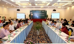 dia phuong dau tien cua dbscl cong bo ke hoach tang cuong kha nang chong chiu