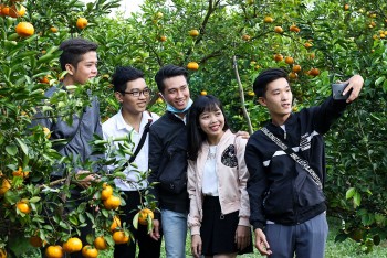 dong thap du kien tang truong kinh te 2021 dat khoang 35 45