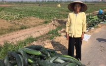 nhom dancer ha thanh va dieu nhay giau y nghia ung ho nong dan phu xuyen