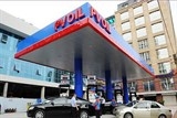 hon 3000 nha dau tu dang ky dau gia co phan pvoil