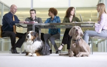 nghien cuu khoa hoc nuoi cho se tang kha nang thanh cong cua doanh nghiep