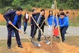 tuoi tre khoi cac co quan trung uong phat dong thang thanh nien nam 2017