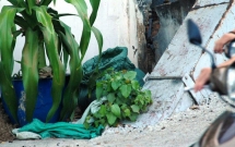 tp hcm xac cho trong bao tai boc mui ca khu pho ta hoa vi tuong co an mang