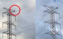 tay ninh nam thanh nien co thu tren cot dien cao the nhieu gio