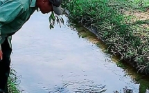 hoang hon phat hien xac nam thanh nien noi duoi muong nuoc