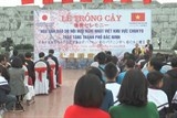 hoa anh dao nhat ban se khoe sac tren que huong quan ho