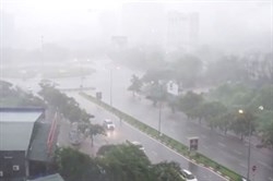 nam 2019 se co 4 5 con bao anh huong truc tiep den viet nam