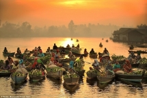 nhung hinh anh quyen ru cua cho noi o indonesia