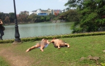 ha noi 2 nu du khach mac bikini than nhien tam nang tren bai co ven ho hoan kiem