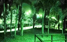 tphcm phat hien nam thanh nien chet trong tu the treo co o cong vien