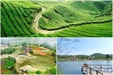 nhung diem den gan ha noi dip nghi le 304 15
