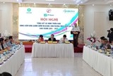 tong ket 3 nam trien khai sang kien dan cham diem mscore tai quang tri