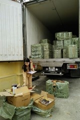 thanh hoa bat xe van chuyen 168 bao co trong luong 5000 kg