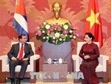quan he viet nam cuba tren kenh doi ngoai nhan dan duoc trien khai tich cuc va hieu qua