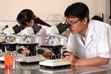 viet nam co tren 12000 tien si tham gia nghien cuu khoa hoc