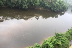 thanh tra toan dien 3 co so xa thai ra song buoi