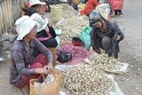 khan hiem hang toi ly son doi gia gan 14 trieu dongkg