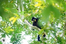 chung tay bao ton thien nhien hoang da