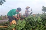 phong chong thien tai can dua vao dan va doanh nghiep