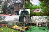 5 homestay gan ha noi danh cho ban va gia dinh
