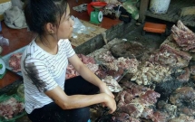 quan ngo quyen chi dao xu ly nghiem nguoi hat dau luyn tron chat thai vao sap thit lon