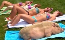 20 ke khong phai la nang nhung cu thich to ve choi chang