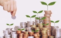 mwg hqc qcg ftm opc cad thong tin giao dich luong lon co phieu