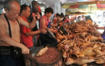 du co tin bi cam hang nghin chu cho van bi giet thit cong khai truoc le hoi thit cho trung quoc