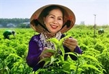 ba vo thi lan giam doc cong ty tam lan khoi nghiep la khong co tuoi