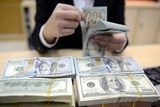 ngan hang dong loat tang gia mua vao usd
