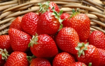 khong phai can biet rua may nuoc co ngam muoi hay khong muon dau tuoi lau thi chi can nho dung 1 nguyen tac thoi