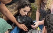 Giây phút chia tay nghẹn ngào nước mắt với chú chó hải quân mắc bệnh ung thư xương
