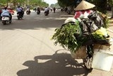 nang vo dau cuc lam phan ban hang rong