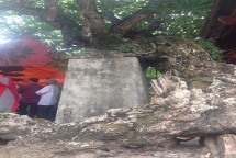 2 cay dai thu duoc cong nhan la di tich lich su van hoa