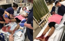 khong phai ca piranha sinh vat bien bi an an thit nguoi dang khien nhieu nguoi so hai