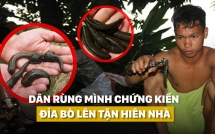 nguoi dan rung minh chung kien chuyen chua tung co dia bo len tan hien nha