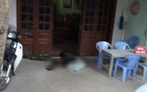 khoi to vu an xa sung ban chet hai vo chong o dien bien