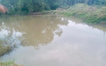 cap vo chong lao xuong ho cuu hai chau be duoi nuoc ca 4 nan nhan tu vong thuong tam